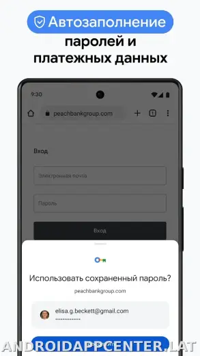 Google Chrome скриншот 6